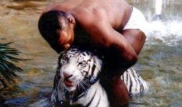 王老虎被爆料视频大全,揭秘事件背后真相