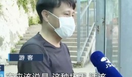 网红霸凌吃瓜男主是谁,揭秘“吃瓜男主”背后的真相
